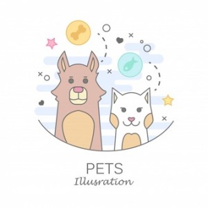 300,000 Pets Email (2021 Updated)