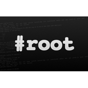 Private VPS ROOT for scanning, cracking, spamming (30-days guaranteed)